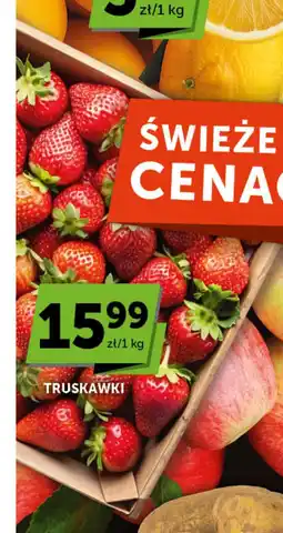 Groszek Truskawki oferta