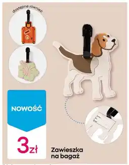 Pepco Zawieszka na bagaż oferta