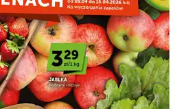 Groszek Jabłka oferta