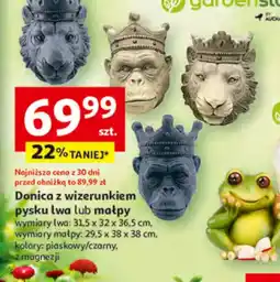 Auchan Donica z wizerunkiem lwa lub małpy oferta