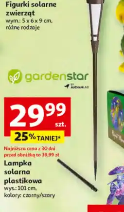 Auchan Gardenstar Lampka solarna plastikowa oferta