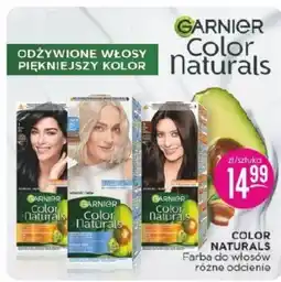 Jaśmin Garnier Color Naturals farba oferta