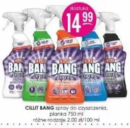 Jaśmin Cillit Bang spray do czyszczenia, pianka oferta