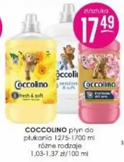 Jaśmin Coccolino płyn do płukania oferta