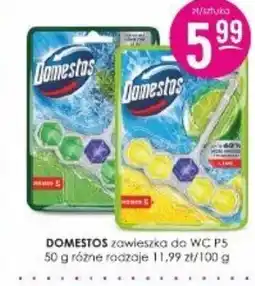 Jaśmin Domestos zawieszka do WC P5 oferta
