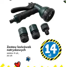 Tedi Zestaw końcówek natryskowych oferta