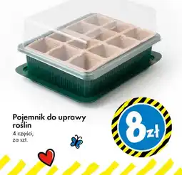 Tedi Pojemnik do uprawy roślin oferta