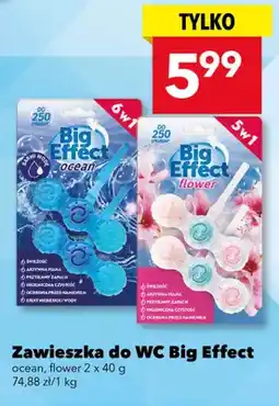 Lewiatan Zawieszka do WC flower oferta