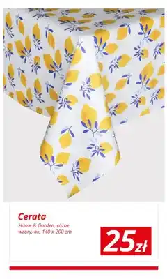 KiK Cerata różne wzory oferta