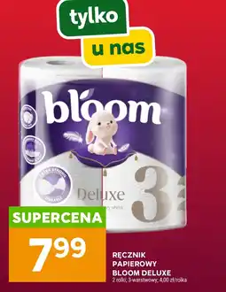 Stokrotka Ręcznik papierowy Bloom oferta