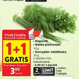 Intermarche Szczypior sałatkowy oferta