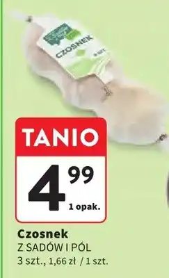 Intermarche Czosnek oferta