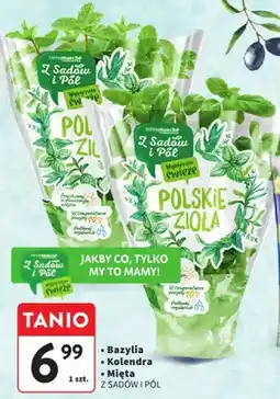 Intermarche Zioła polskie mięta oferta