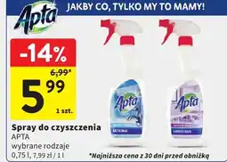 Intermarche Spray do czyszczenia wybrane rodzaje oferta
