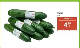 Dino Ogórek 1 szt oferta