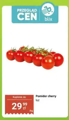 Dino Pomidor cherry luz oferta