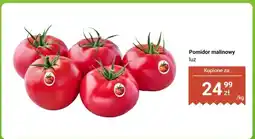 Dino Pomidor malinowy luz oferta