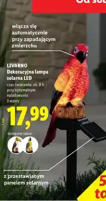 Lidl Dekoracyjna lampa solarna LED papuga oferta