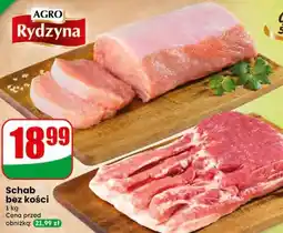 Dino Schab bez kości oferta