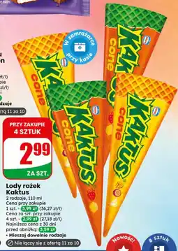 Dino Lody rożek Kaktus oferta