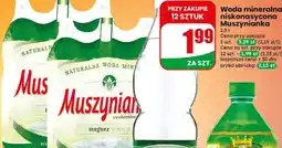 Dino Woda mineralna niskonasycona Muszynianka oferta