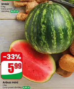 Dino Arbuz mini oferta