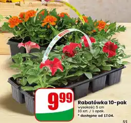 Dino Rabatówka 10-pak oferta