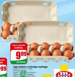Dino Jaja świeże z wolnego wybiegu rozmiar M, 10 szt. / 1 opak oferta