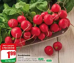 Dino Rzodkiewka oferta