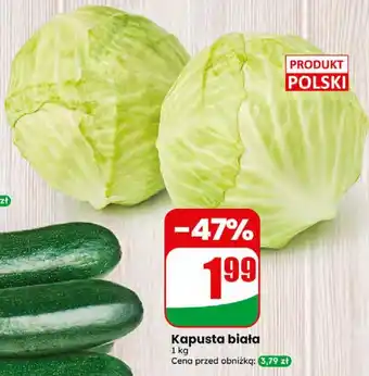 Dino Kapusta biała oferta