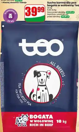 Dino Sucha karma dla psa bogata w wołowinę Teo oferta