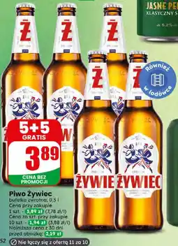 Dino Piwo Żywiec oferta