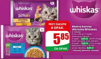 Dino Mokra karma dla kota Whiskas oferta