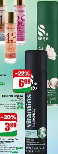 Dino Lakier do włosów Sego oferta