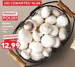 Kaufland Polskie pieczarki luzem oferta
