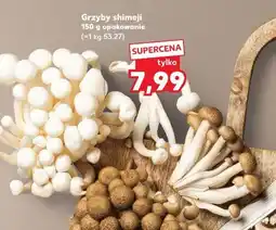 Kaufland Grzyby shimeji oferta
