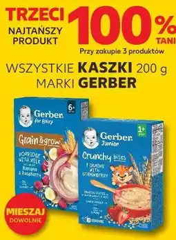 Kaufland WSZYSTKIE KASZKI 200 g MARKI GERBER oferta