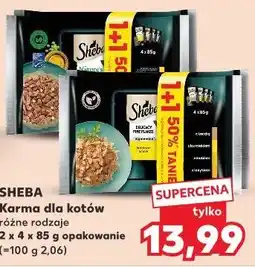 Kaufland SHEBA Karma dla kotów różne rodzaje 2 x 4 x 85 g opakowanie oferta