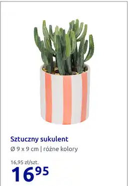 Action Sztuczny sukulent oferta