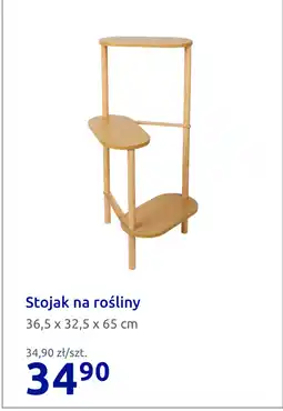 Action Stojak na rośliny oferta