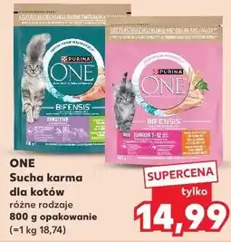 Kaufland ONE Sucha karma dla kotów różne rodzaje 800 g opakowanie oferta