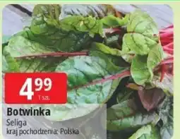 E.Leclerc Botwinka polska oferta