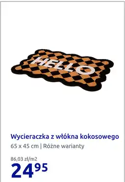 Action Wycieraczka z włókna kokosowego oferta