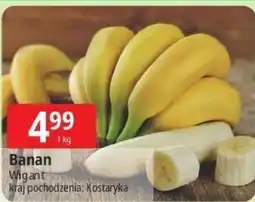 E.Leclerc Banany kostaryka oferta