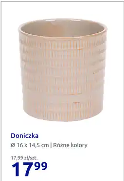 Action Doniczka oferta