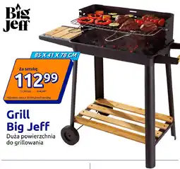 Action Grill Big Jeff oferta