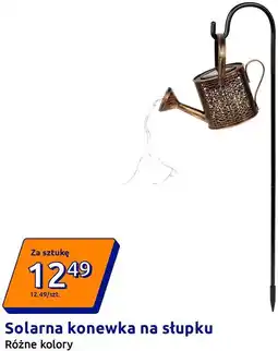 Action Solarna konewka na słupku oferta
