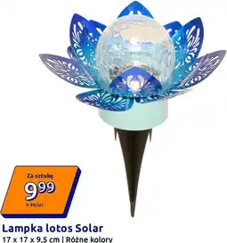 Action Lampka lotos Solar oferta