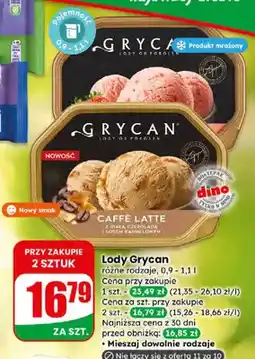 Dino Lody Grycan różne rodzaje oferta