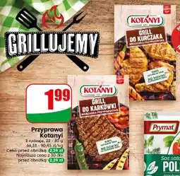 Dino Przyprawa grill do karkówki oferta
